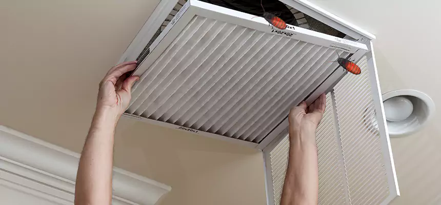 Preventive Cockroach-Proofing for Ducts in Joliet