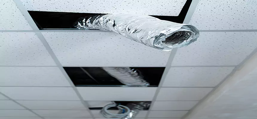 Affordable HVAC Sanitizing After Pest Removal in Joliet