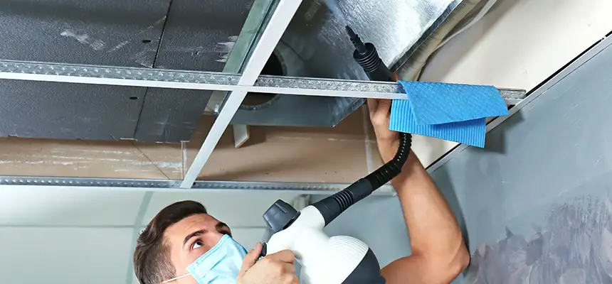 Our Air Duct Rodent Removal Services in Joliet, IL