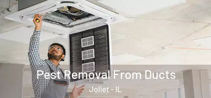  Pest Removal From Ducts Joliet - IL