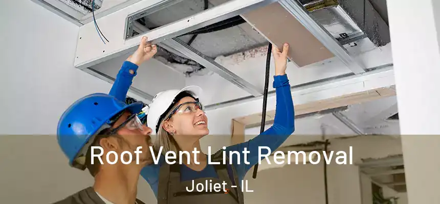 Roof Vent Lint Removal Joliet - IL