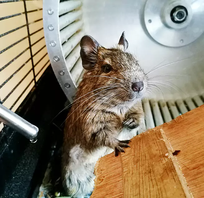 Why Homeowners & Businesses Trust Us Joliet, IL?